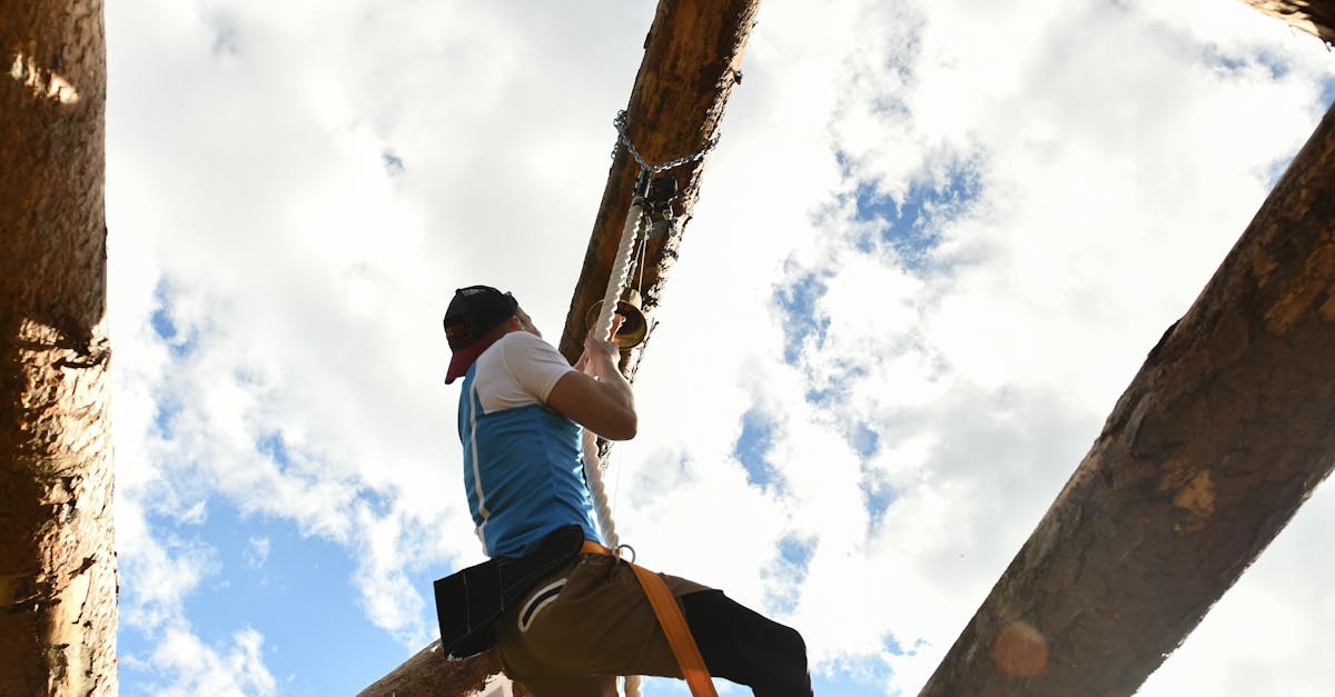 Building Trust within Project Teams: A Key to Collaboration